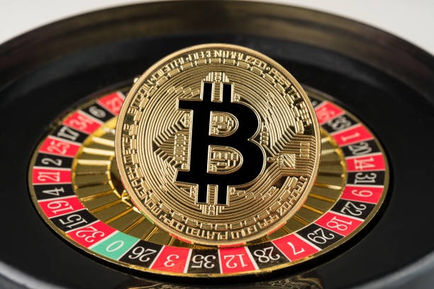 haotogel slot Domino QQ table interface and betting controls